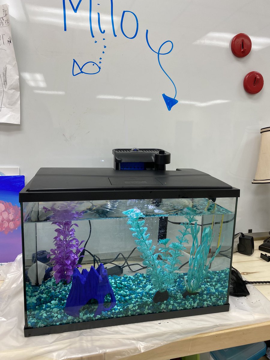 J. Heisler tweet media