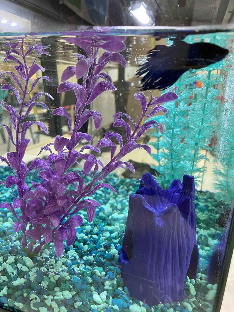 J. Heisler tweet media