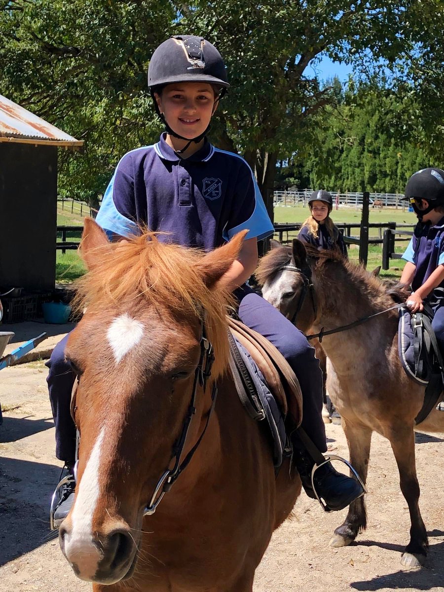 Murat Dizdar tweet media