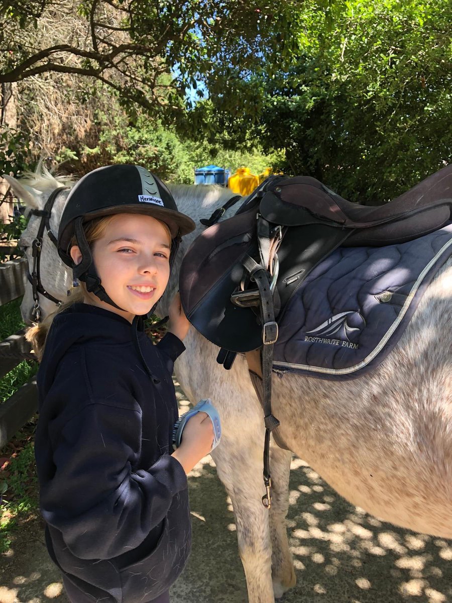 Murat Dizdar tweet media