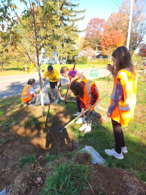 Members of the BMS Peer Leadership Club show their community spirit and support of the Village Tree Commission through their hard work during the commission's semi-annual tree planting.