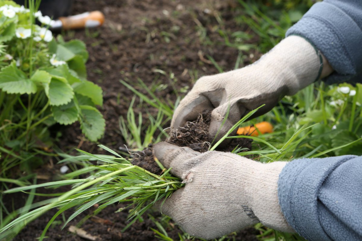 somdforsale's tweet photo. There is plenty of advice out there, 🤷 but it can be difficult to know 🤔 what's the most effective way of controlling weeds in your environment. 🧐

Here is an overview of the six best tips, 📝 so you can
 https://t.co/LszLOozVpD https://t.co/0tsRGG48bL