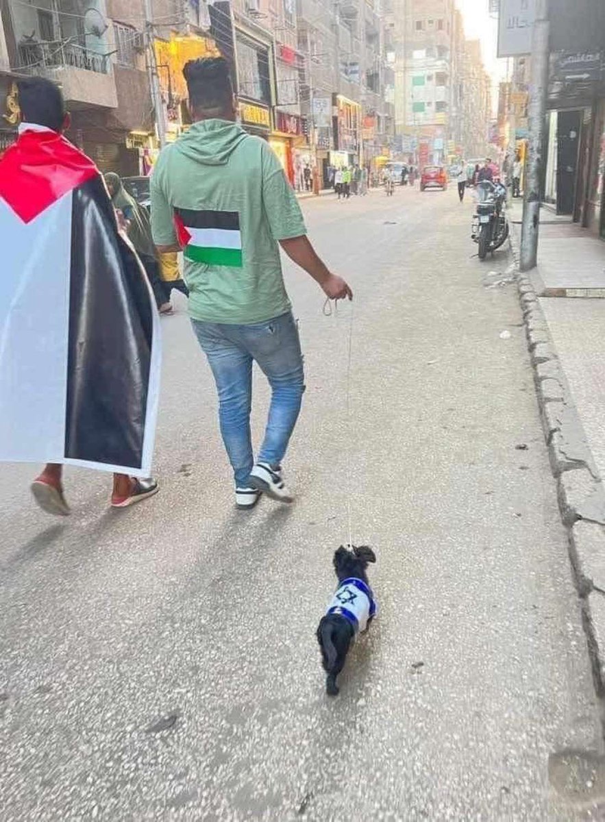 theCaesar44's tweet photo. @IsraelArabic @AJCArabic خد فشار 🍿 https://t.co/AMvnDWIF68