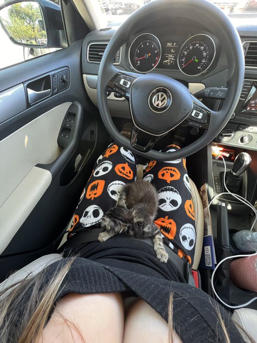 happy hallo-eve 🎃 https://t.co/tGyI7m2Wv0