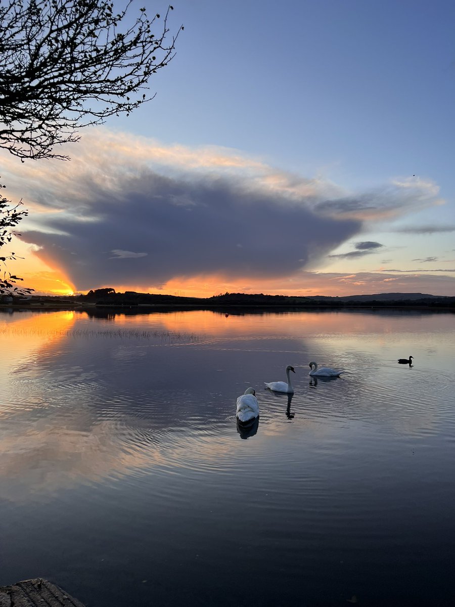 this_islifepod's tweet photo. Beautiful scenery in #ireland #coclare #ennis #ballylalake #nature https://t.co/ibdUeHjLcI
