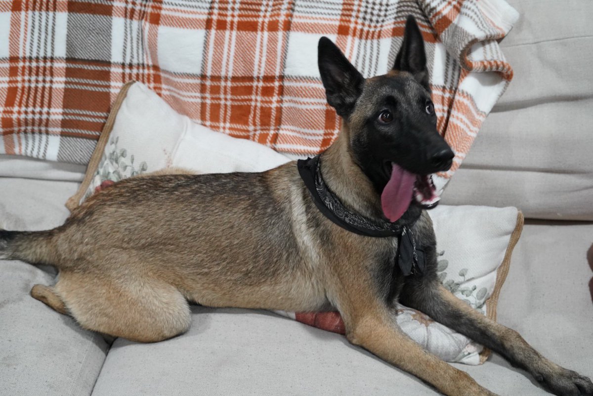 Zach Smith tweet media