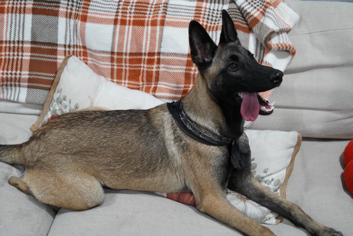 Zach Smith tweet media