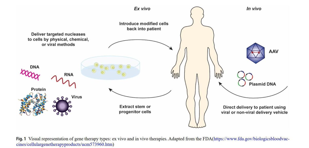 One to read: Prospective approaches to gene therapy computational modeling – spotlight on viral gene therapy. J. Pharmacokinet Pharmacodynam buff.ly/3tTJbi1