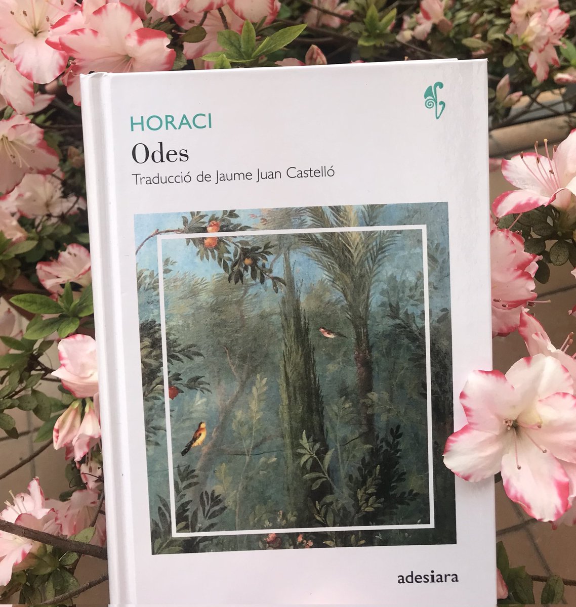 ADESIARA EDITORIAL tweet media