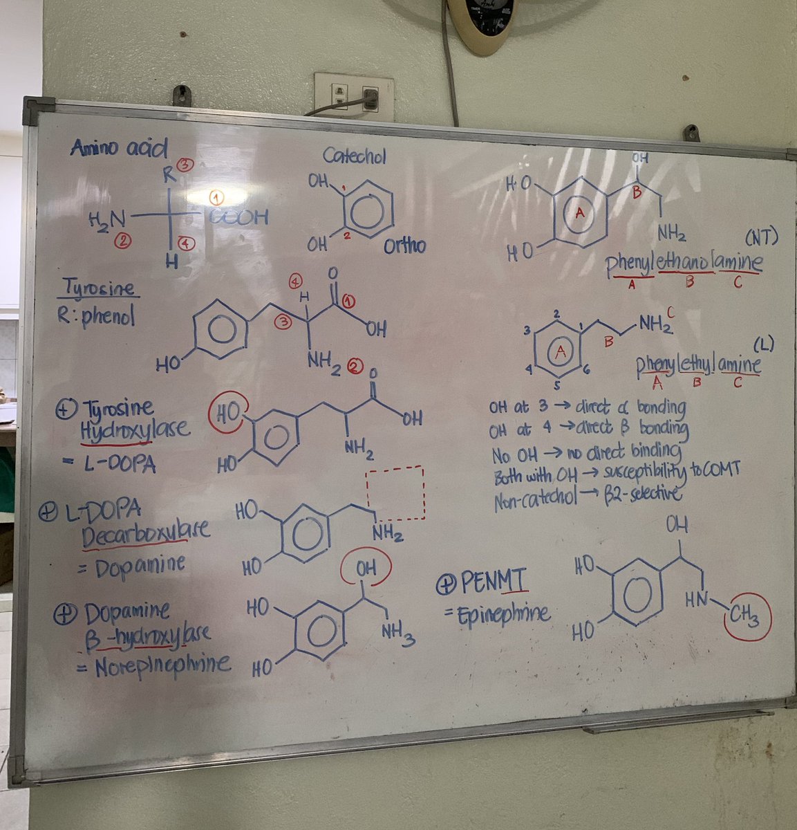 geloglitazone's tweet image. ⚛️ How I study structures: 

1. Understand the basis of the name
- underline suffixes and prefixes that could give a clue
2. Identify which part is which
3. Open module 4 notes and correlate
4. Active recall of #1-3