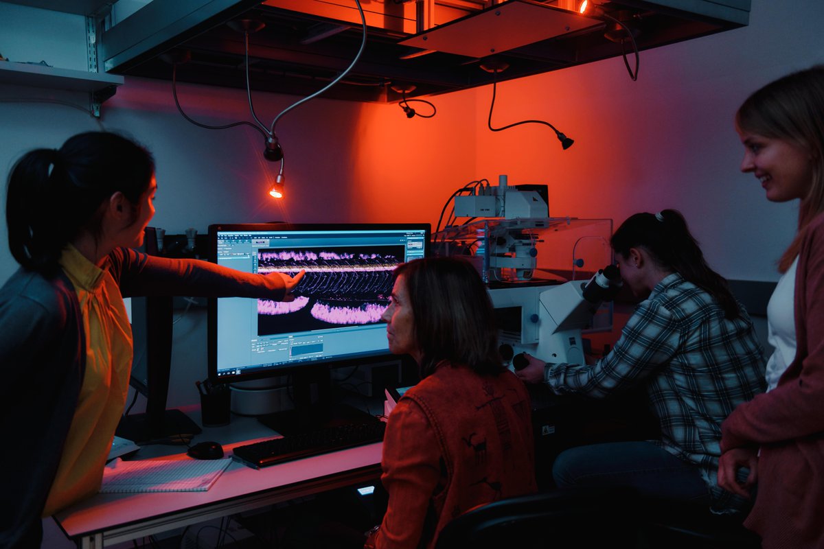HHMI | Janelia (@hhmijanelia) on Twitter photo .<a href="/HHMIJanelia/">HHMI | Janelia</a> & <a href="/HopkinsMedicine/">Johns Hopkins Medicine</a> are joining forces on XDBio, an interdisciplinary graduate training program that aims to develop the next generation of scientists ready to tackle the most important questions in biomedicine.
More info ➡️ janelia.org/news/janelia-c… .<a href="/HHMIJanelia/">HHMI | Janelia</a> & <a href="/HopkinsMedicine/">Johns Hopkins Medicine</a> are joining forces on XDBio, an interdisciplinary graduate training program that aims to develop the next generation of scientists ready to tackle the most important questions in biomedicine.
More info ➡️ janelia.org/news/janelia-c…