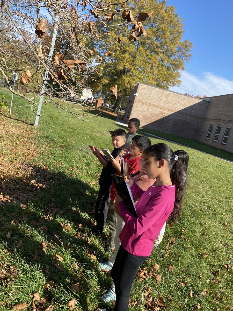 Mrs_Disheroon's tweet photo. Today 4th grade students made scientific observations in our schoolyard and learned that, together, the components in the area form an ecosystem. @HyblaValleyES #HyblaValleyHuskies https://t.co/xzuX7vNh5D