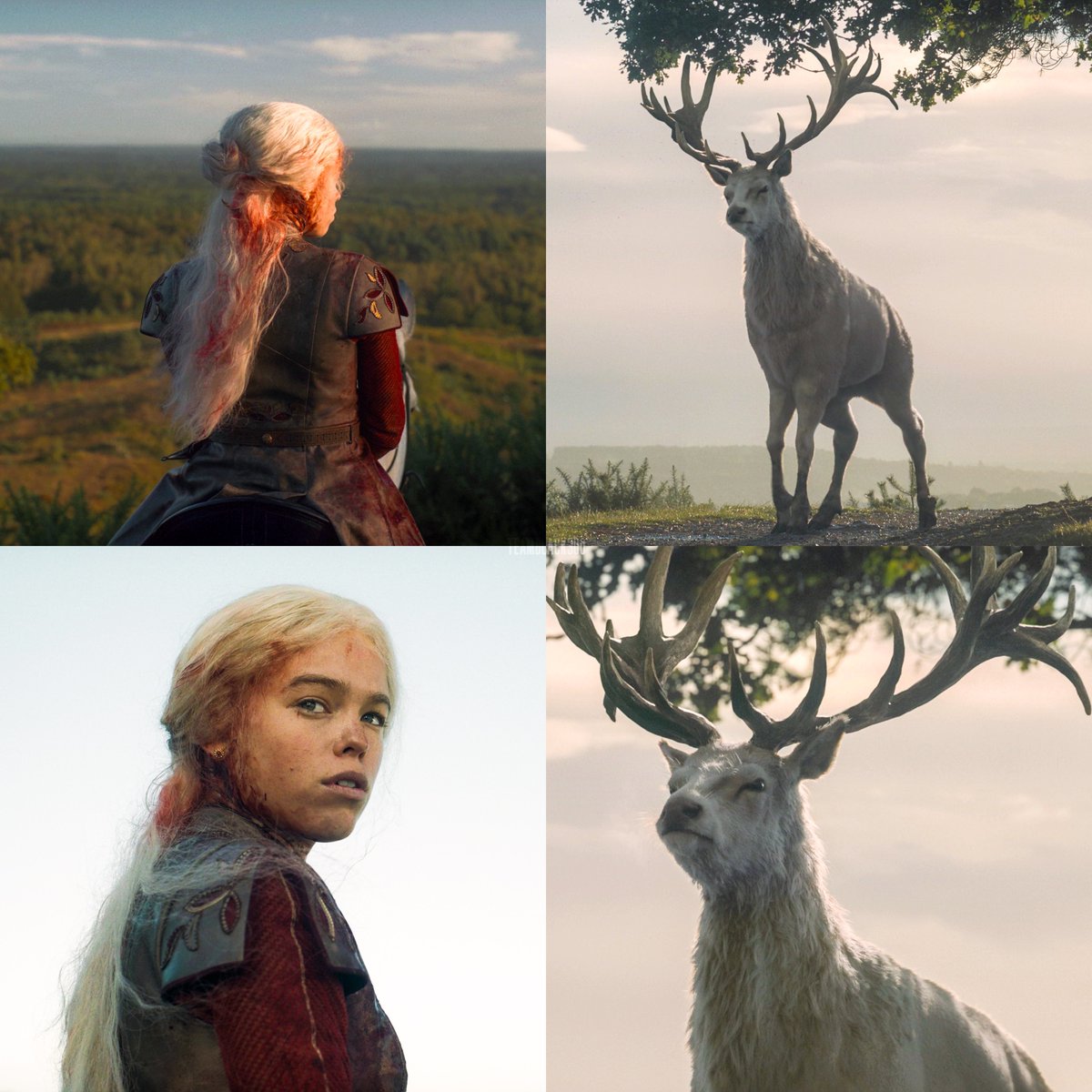 teamblack300's tweet photo. “Antes dos dragões dominarem Westeros, o cervo branco era o símbolo de realeza nessas terras” https://t.co/RfOjn71L7t