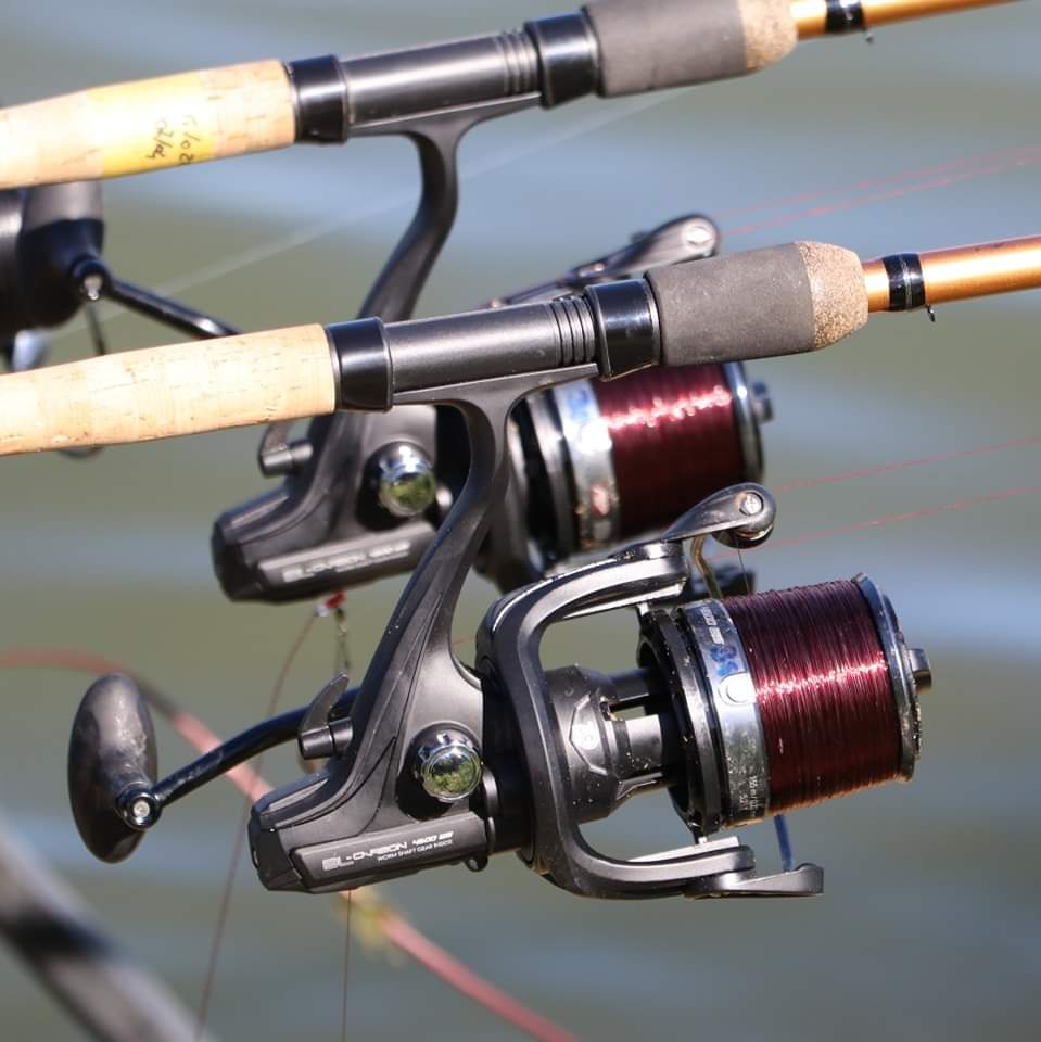wildfishingsrl's tweet photo. 𝗠𝗦 𝗥𝗔𝗡𝗚𝗘 𝗺𝘂𝗹𝗶𝗻𝗲𝗹𝗹𝗼 𝗕𝗟-𝗖𝗔𝗥𝗕𝗢𝗡🤩
BL-CARBON WS è un mulinello senza baitrunner con frizione anteriore adatto per il feeder o lo specialist. https://t.co/QQuti6ZIDp