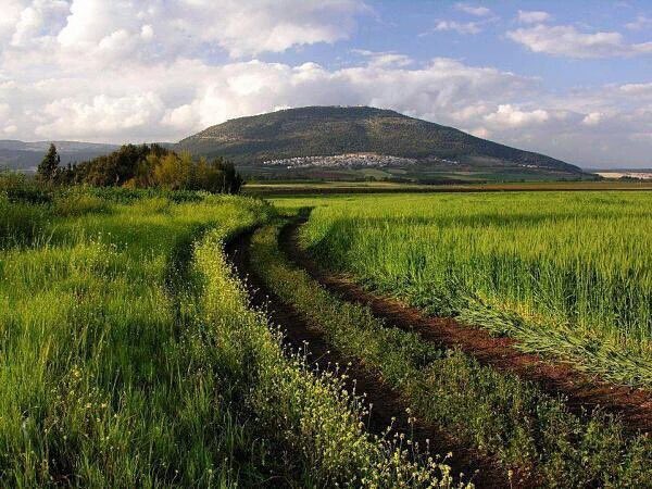 AbeerBarakat369's tweet photo. مدينة الجليل في فلسطين✨

#حقبة_النور https://t.co/r5AdWOXAQd