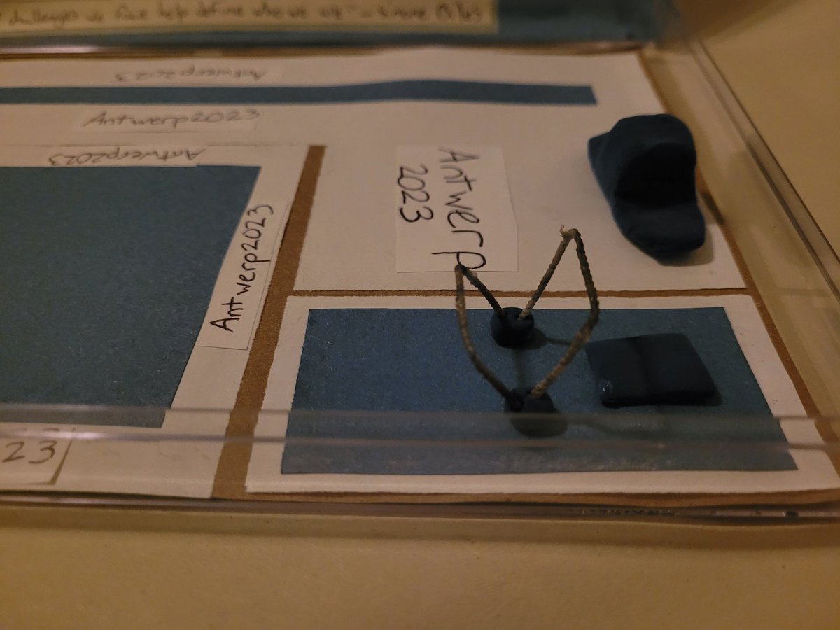 Adatomy's tweet image. Mini-A picked @Simone_Biles as their person to do their #BlackHistoryMonth project on. Nice model of the arena and apparatus for #Antwerp2023 #gymnastics