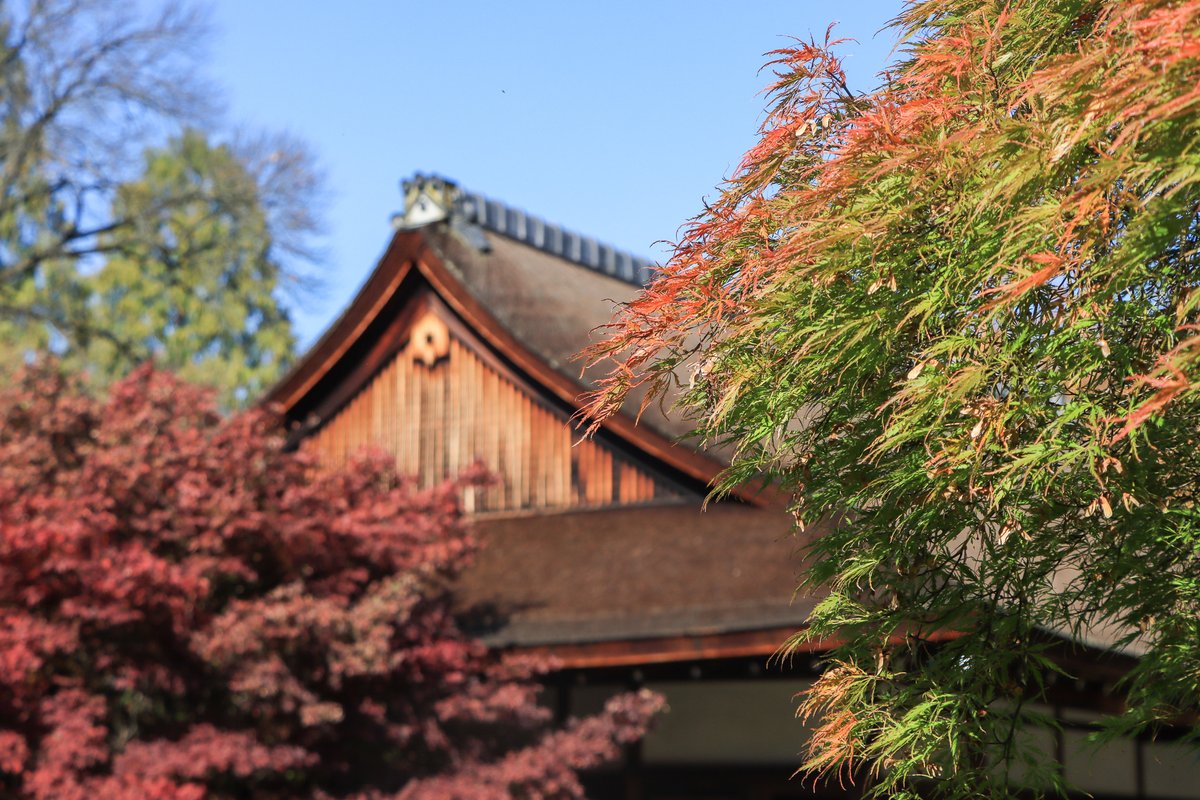 Shofuso Japanese Cultural Center tweet media