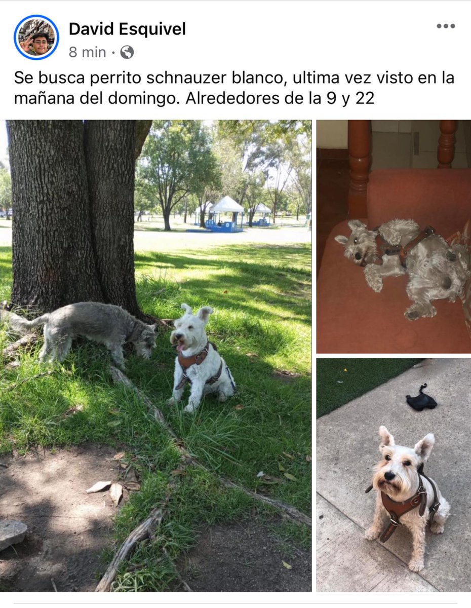 Henry Esquivel tweet media