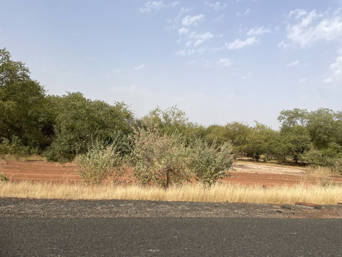 DigitalNisa's tweet image. De Dakar à Bokidiawé, parcourant 300 km en 10 heures sur une route déserte, nous sommes en route pour aller à la rencontre des femmes et les outiller en digital. Ça, c&apos;est Digital Nisa ! 💪🌟 

#DigitalNisa #FormationDigitale #Engagement