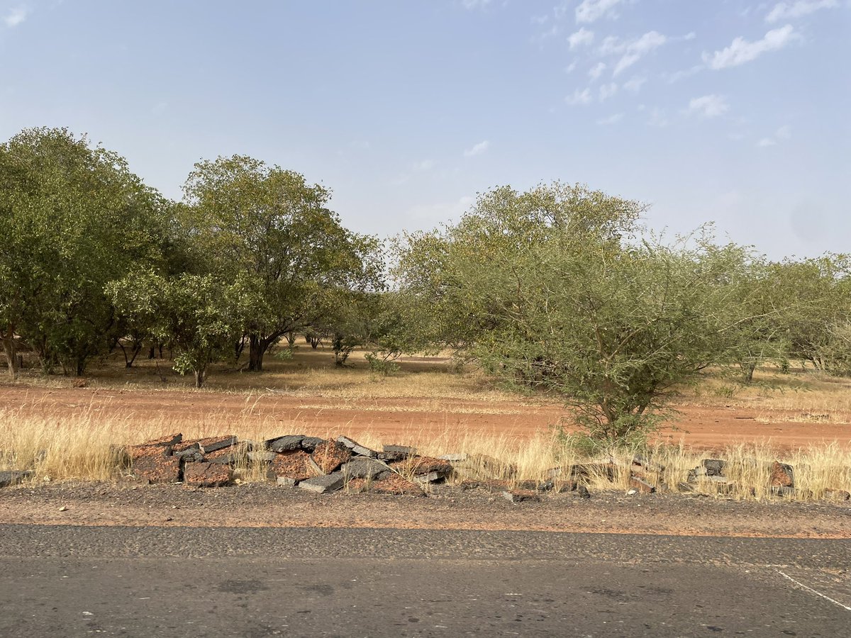 DigitalNisa's tweet image. De Dakar à Bokidiawé, parcourant 300 km en 10 heures sur une route déserte, nous sommes en route pour aller à la rencontre des femmes et les outiller en digital. Ça, c&apos;est Digital Nisa ! 💪🌟 

#DigitalNisa #FormationDigitale #Engagement
