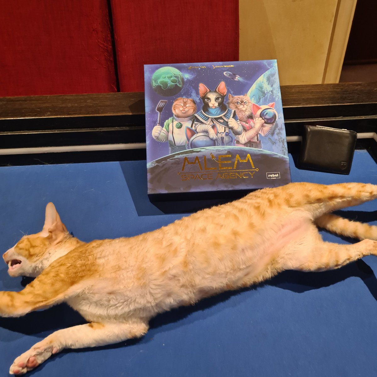 We seen to have the very lazy cat astronauts in MLEM: Space Agency from <a href="/ReinerKnizia/">Reiner Knizia</a>