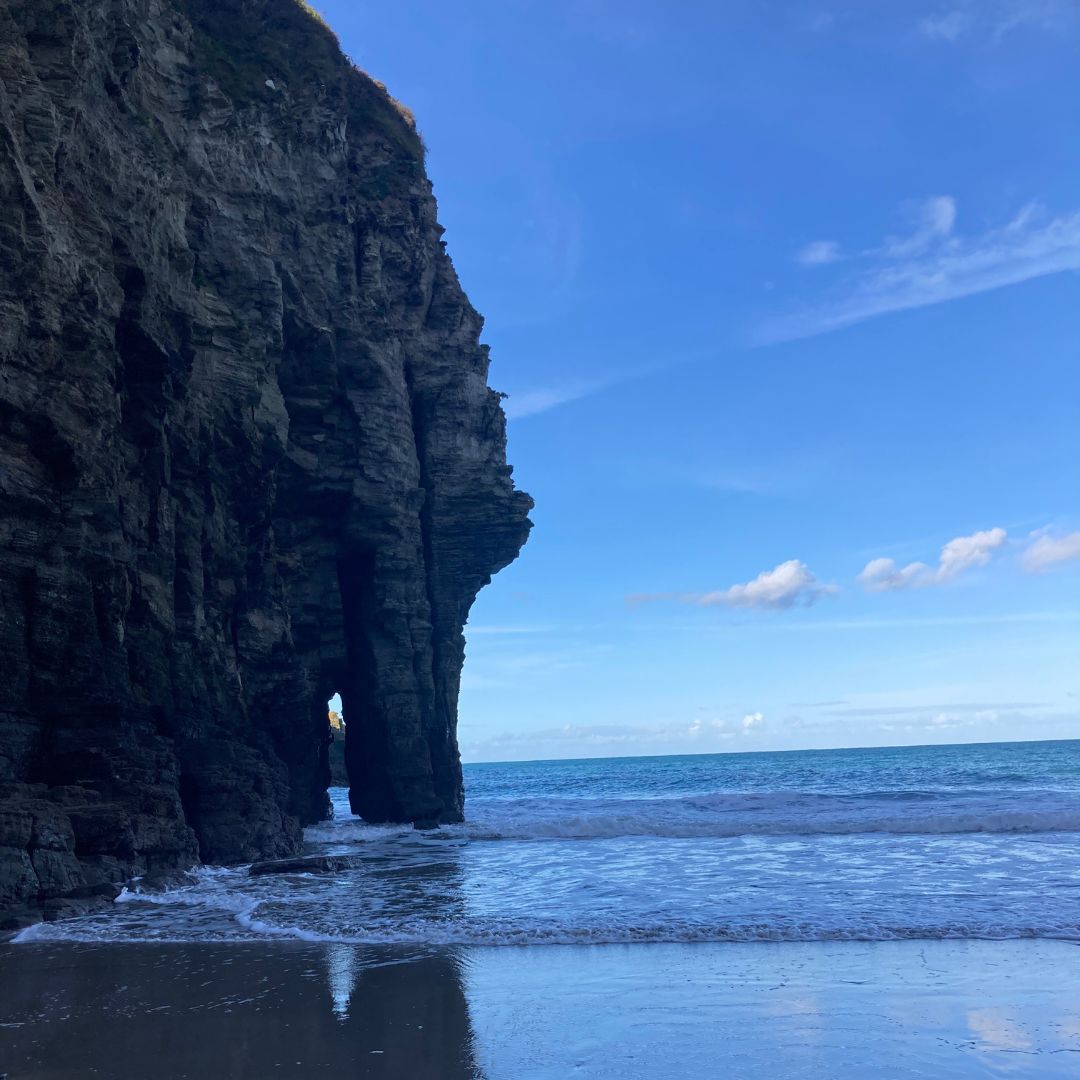 St. Tinney Farm Holidays tweet media