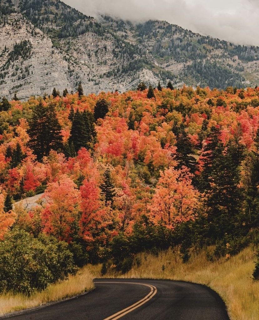 artistryhere's tweet photo. How's October for you? https://t.co/Z40ZDJ5w0x