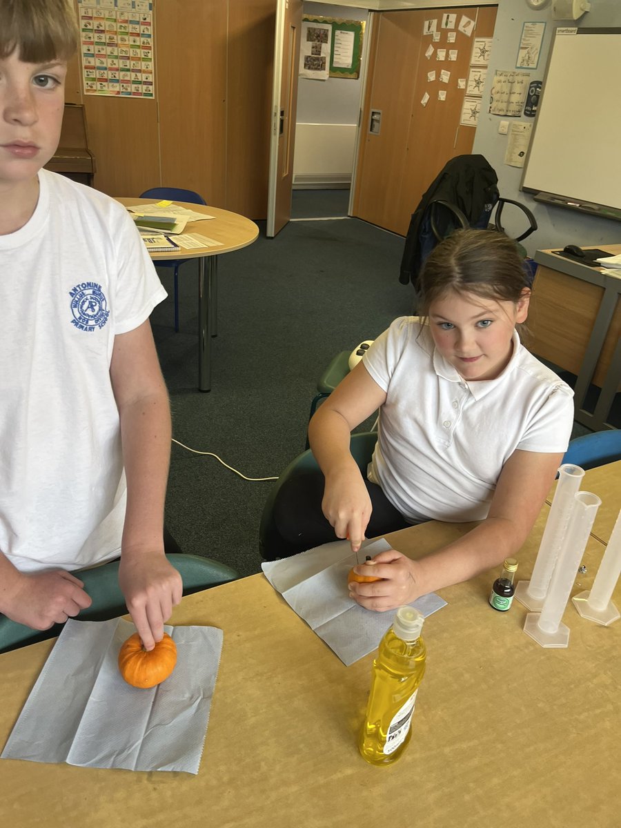 Young STEM Leaders <a href="/MrsMcManusanto/">Antonine Primary 7M</a> preparing for a bit of Halloween STEM with P1. <a href="/MrsYoungAnto/">P1Y & Mrs Flannigan</a> <a href="/MrsMcGuireAnto/">Mrs McGuire and Mrs Easton</a> Looking forward to working with them tomorrow 🎃#AntoSTEM
