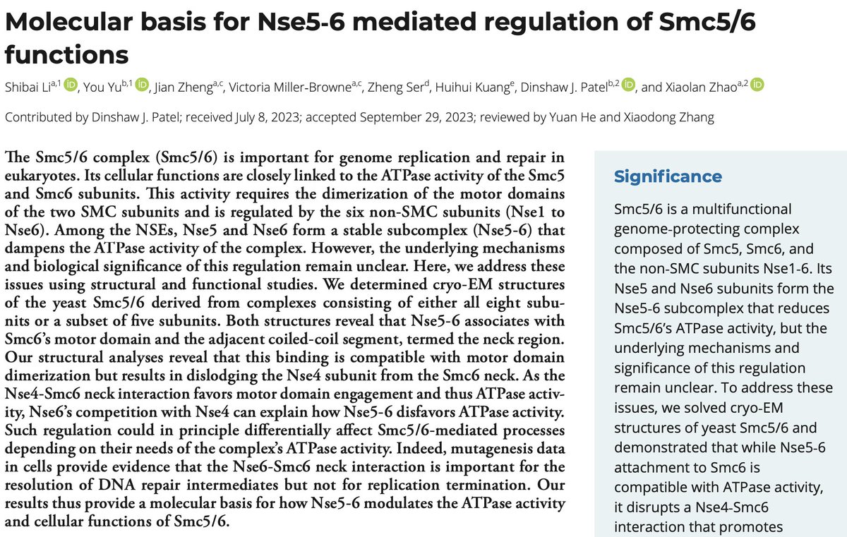 🔥🔥 New insights into SMC structure & mechanism: how the Nse5-6 subcomplex attaches to the backbone of Smc5/6 and affects its functions. Congrats to all authors @Shibai6, You Yu, Jian Zheng, Victoria Miller-Browne, Zheng Ser, Huihui, and Dinshaw Patel. 👇rb.gy/078ro