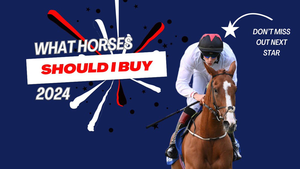 Syndicates.Racing tweet media