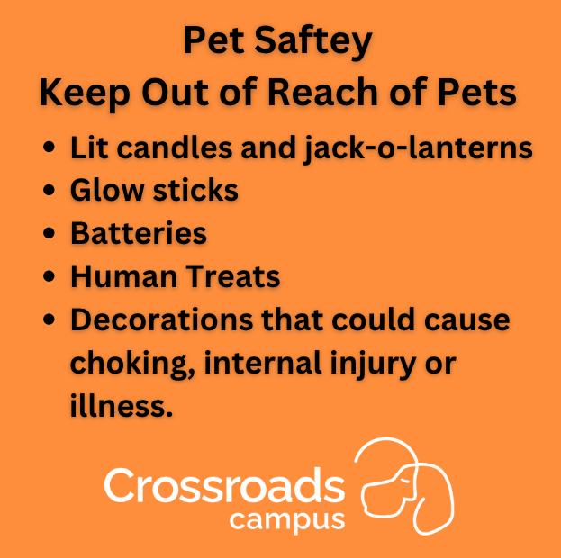 #petsafetytn #halloweentn #healthypetstn #dogsofnashville