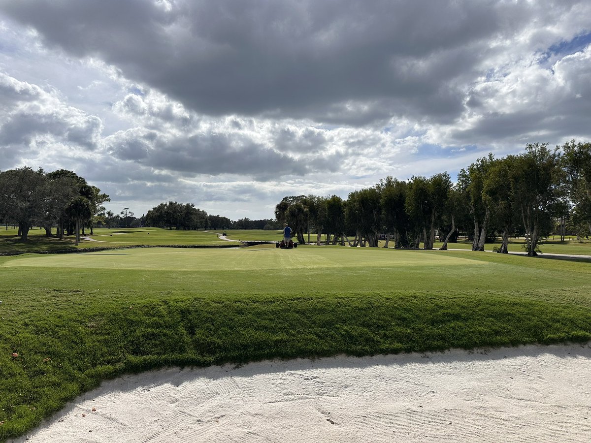 Carlyle Merring tweet media