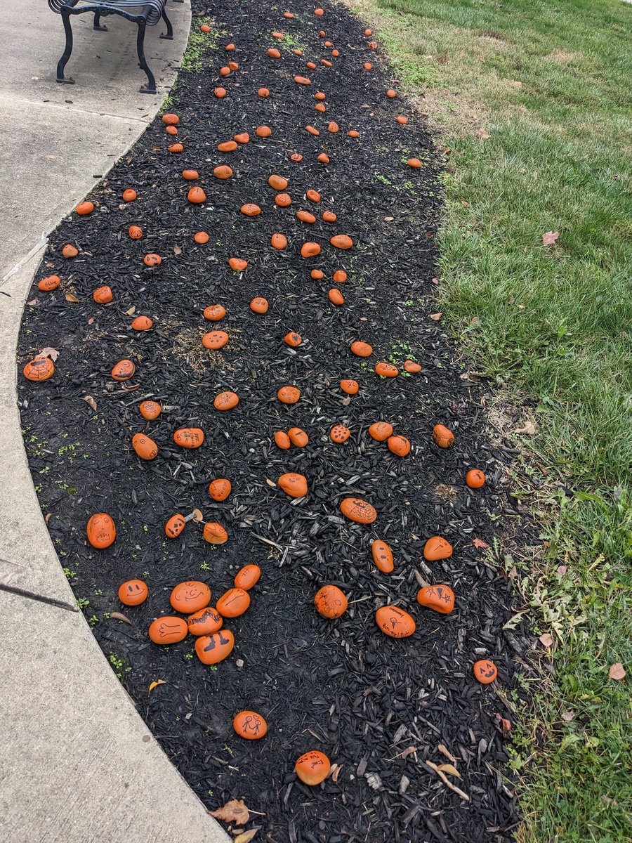 PtoCreekview's tweet photo. The @Creekvw_Tweets PAC night rock pumpkin patch 🧡🧡🧡🧡 This was so fun!!! https://t.co/15fLsfUKvo