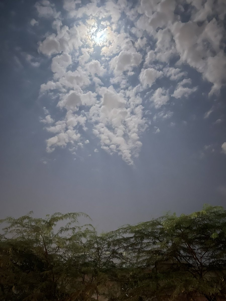 هــو مــراد الـقلـب ويـسّده ♡︎🪽