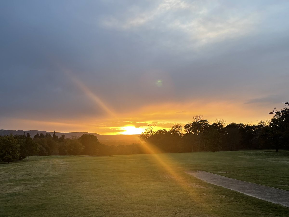 Hannah Ralph (@han_ralph) on Twitter photo 