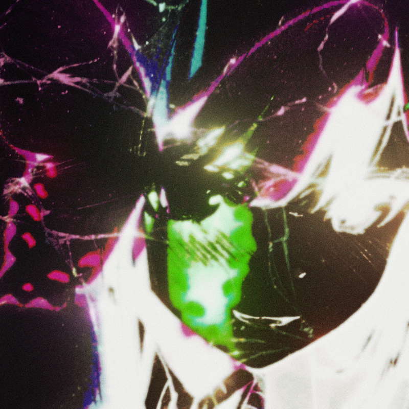 whissuke tweet media