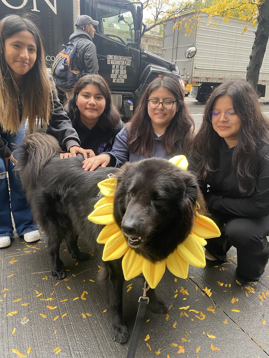 elizabethcaputo's tweet image. BRUNO makes Halloween happy for all his friends and neighbors!  #UWS #NYC