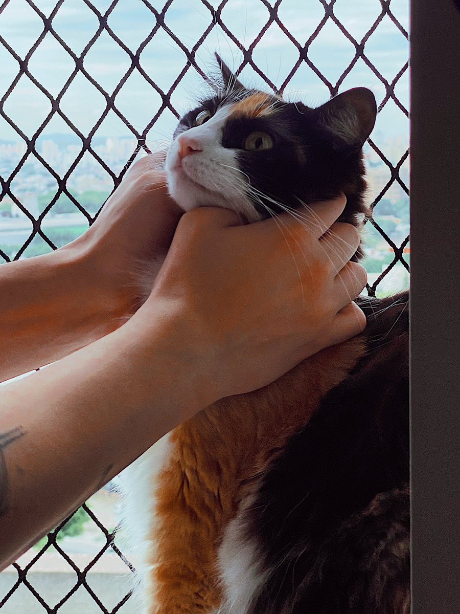 trixparix's tweet photo. eu nao aguento eu nao aguento eu nao aguento eu nao aguento eu nao aguento eu nao aguento eu nao aguento eu nao aguento eu nao aguento eu nao aguento eu nao aguento eu nao aguento https://t.co/TLVUiM6YKW