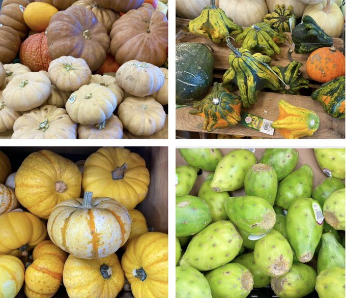 A store run in the Fall, tends to look a bit different.....in Arizona 🌵🫶  #NikkiNova #Arizona #Fall https://t<a href="/tag/arizona"class="tags"><span>#arizona</span></a><a href="/tag/fall"class="tags"><span>#fall</span></a><a href="/tag/nikkinova"class="tags"><span>#nikkinova</span></a>