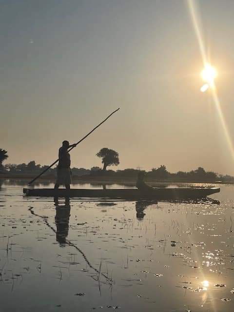 An amazing safari, thank you Caroline for sending us your photos and feedback. We hope to see you soon back in Botswana.