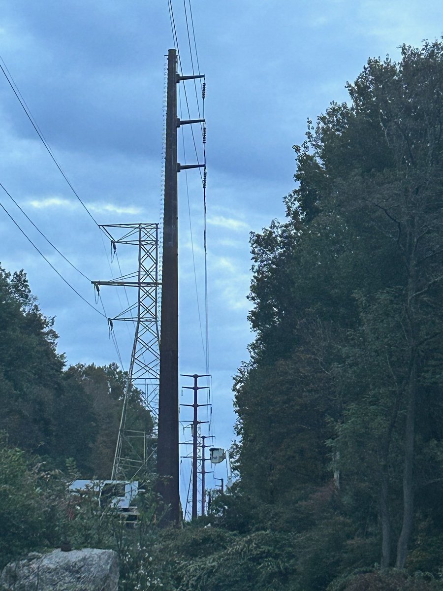 redbee's tweet photo. @GovNedLamont @chrismurphys @SenBlumenthal @CT_PURA @ConnDEEP This is terrifying! And dangerous! I am scared to be on my own property. @EversourceCT   @News12CT @WTNH @NPR @ctnewsjunkie https://t.co/kPLwsihSor