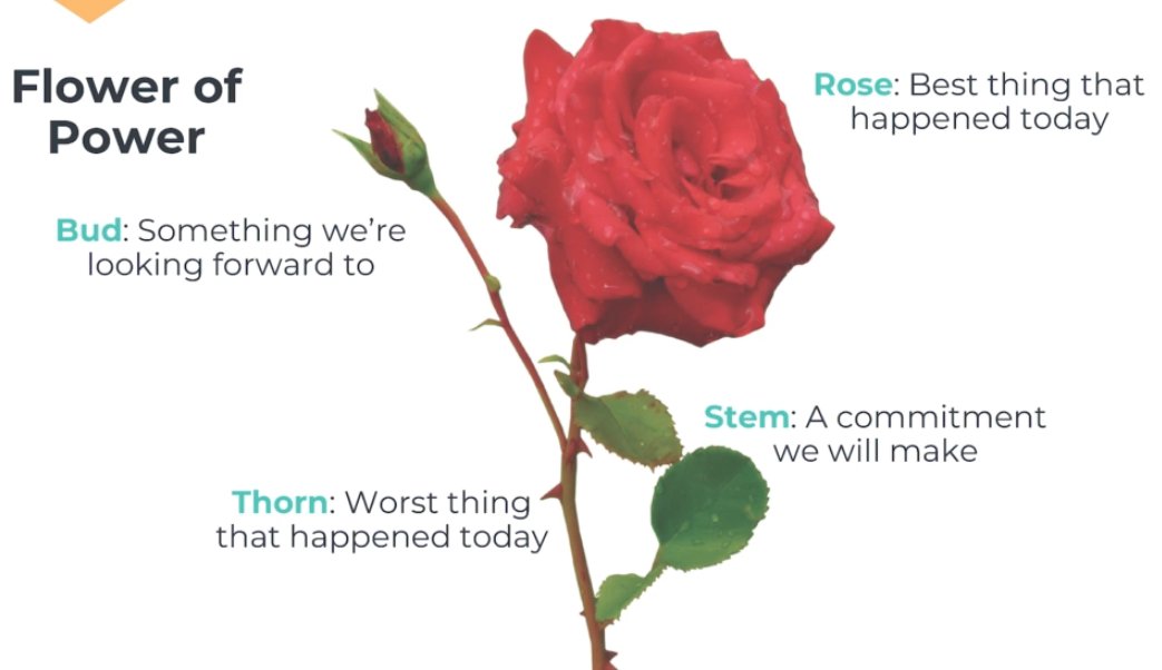 Behnaz Merikhi tweet media