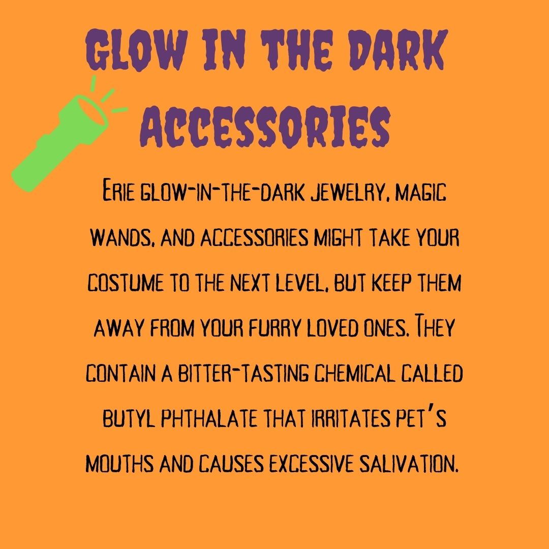 The spookiest night of the year has arrived! 🎃

Halloween is a night filled with treats, tricks and everything spooky, but it is important to be aware of the real horrors of Halloween hazards for our furry friends.