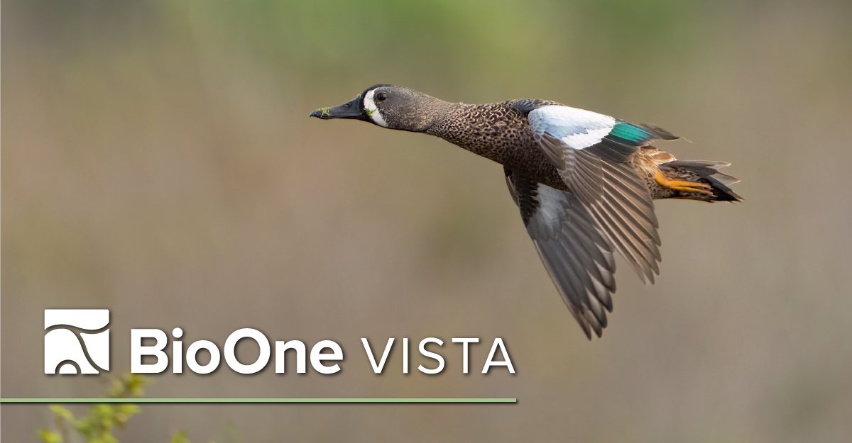 Explore #ornithology research about #MigratoryBirds featuring articles from BioOne Complete partners, including #JVertBiol (@ivb_cas), @WildlifeDisease, @nw_sci, Northwestern Naturalist (@SNVBorg), Ornithological Applications (@AmOrnith) and more.

bio-one.co/46oue5M