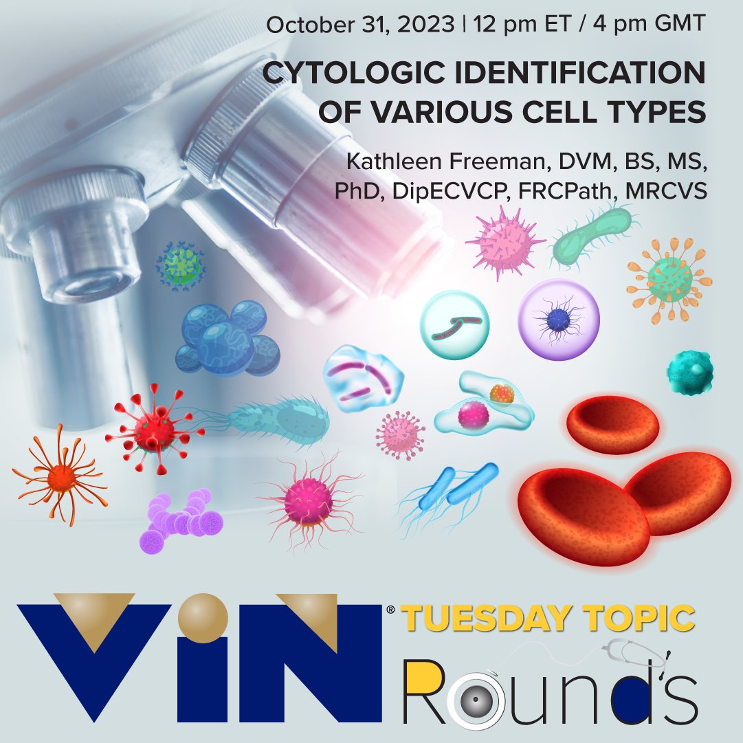 Join Dr. Freeman to discuss the basic cell type categories that can be identified cytologically, as well as cytologic features associated with malignancy. Various categories of inflammation will be covered, as well as the categories of infectious agents. vin.com/vinmembers/rou…