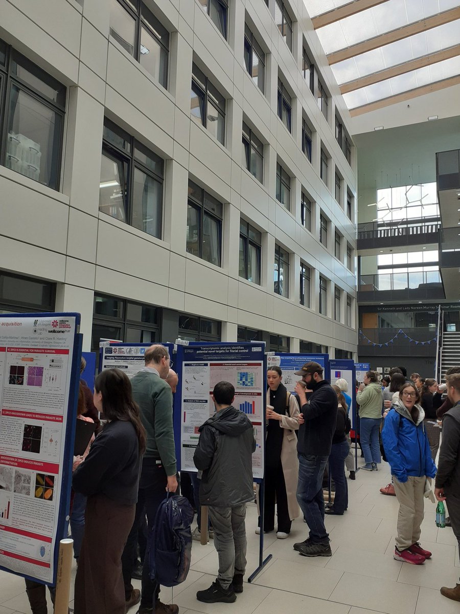 hanniepower's tweet image. That was a great aul' day at @DDU_Dundee/@dundeeuni/@WCAIRDundee!! 😃 Thank you for having us and thank you to @SPPIRITnetwork for organising! "Academic speed-dating" was brilliant- I did learn so much! 🧬🔬 #postdoclife #Parasitology #malaria #parasites #ECR #Plasmodium