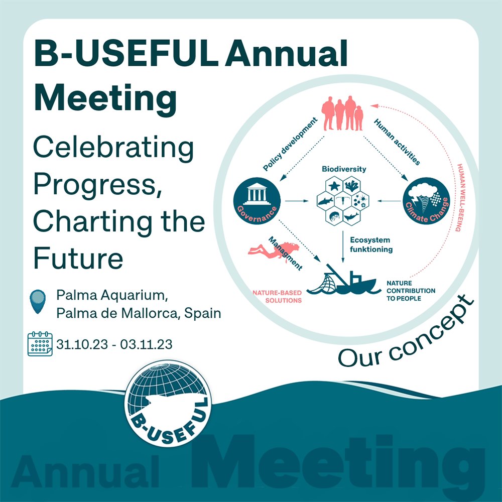 📢 The B-USEFUL Annual Meeting kicks off TOMORROW in Palma de Mallorca! 🌴 Hosted by the @IEOoceanografia, we're set for days of reflection and forward-thinking 🚀Stay tuned for live updates and insights🤝

#policydevelopment #marineresearch #biodiversity #BUSEFULMeeting2023