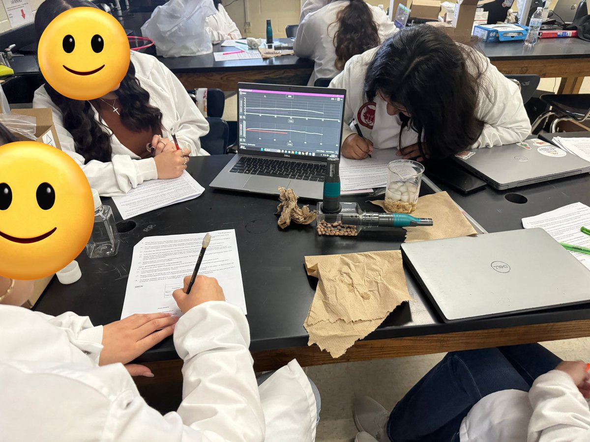 BIOL_MsCharles's tweet photo. This is my first year using @VernierST probes  to show cellular respiration occurring in real time. My student loved lab and seeing how temperature affects cellular respiration. #LJTECHi3

@CGarza0930 @eduGOOGdroid @AnaMPerez1 https://t.co/JkfbHfQeet