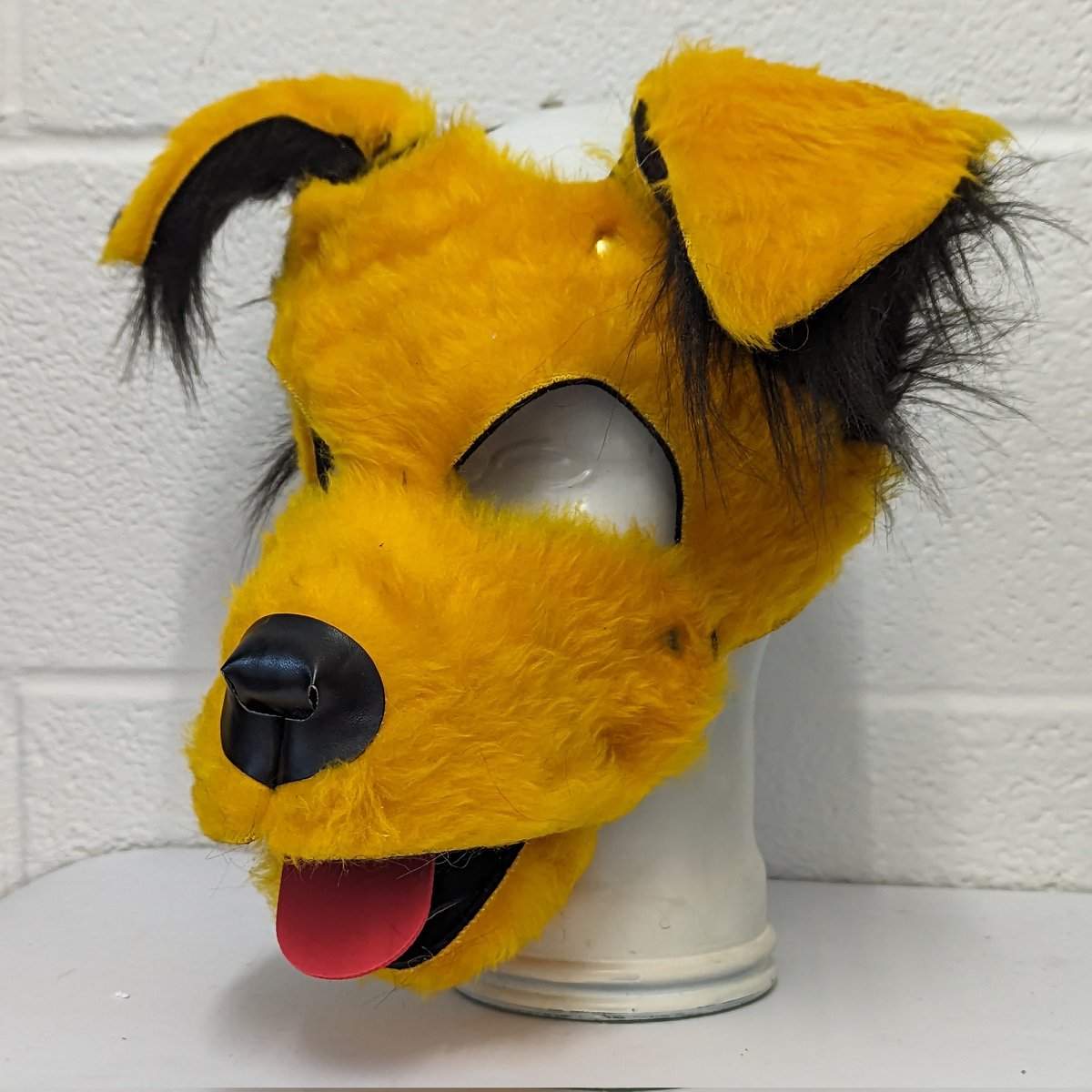 wruffstuff's tweet image. A yellow furry borking doggo #fluffstuff 
#humanpuppy #pupplaygear