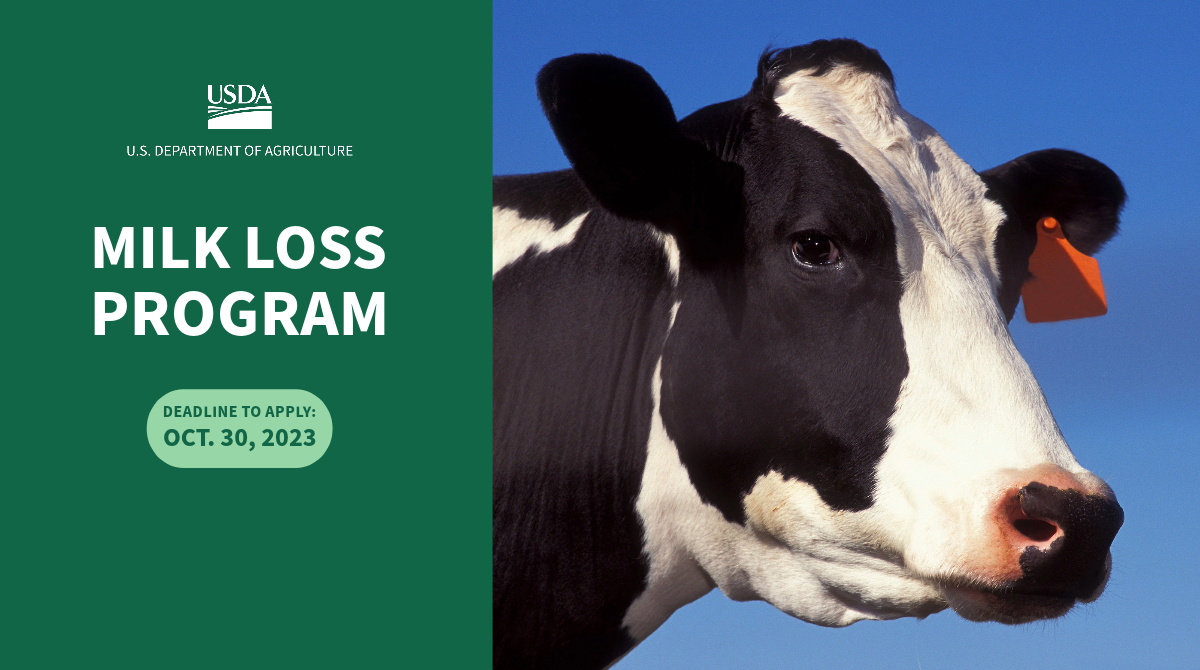 Today is the last day for eligible dairy farmers to apply for assistance through the Milk Loss Program. Learn more: bit.ly/46IOfnk
